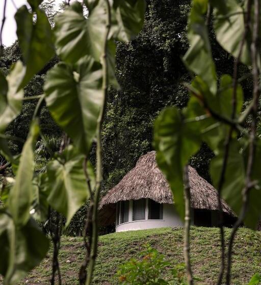 Jade Jungle Resort