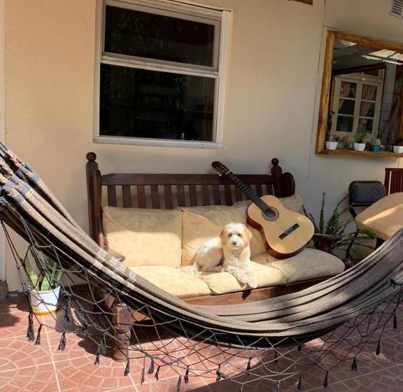 بنسيون Hostel Cosmo