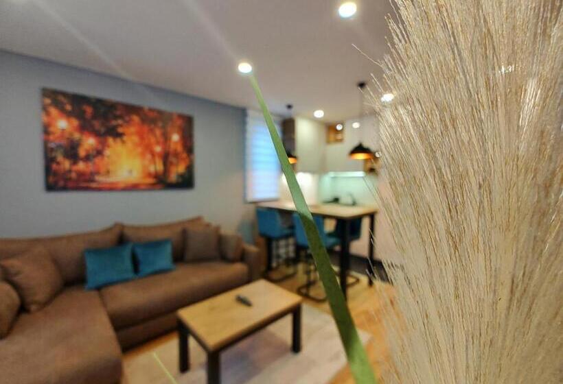 Velika Recepcija Cc Mtv