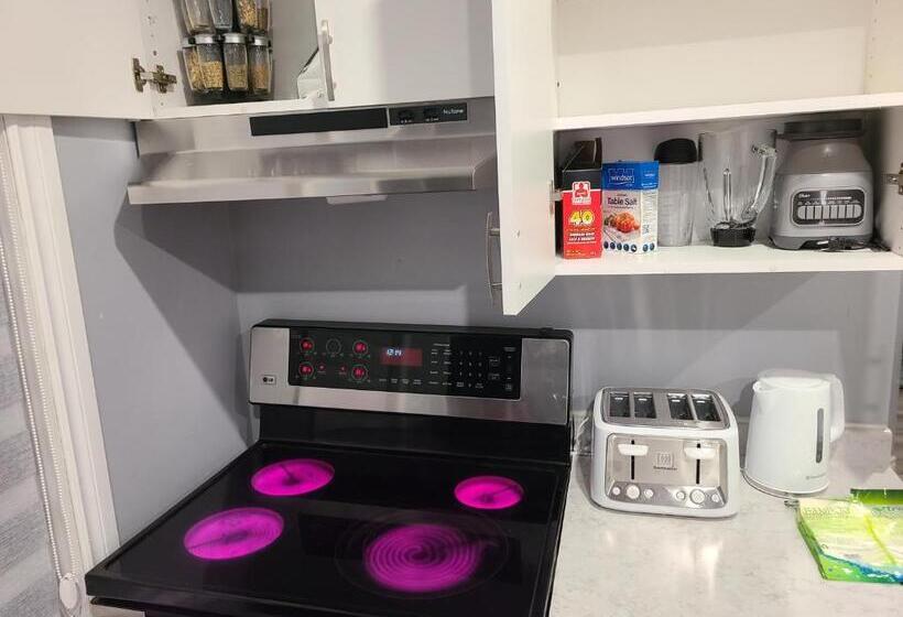 ベッドアンドブレックファースト Downtown Ottawa Spacious Room Accommodation