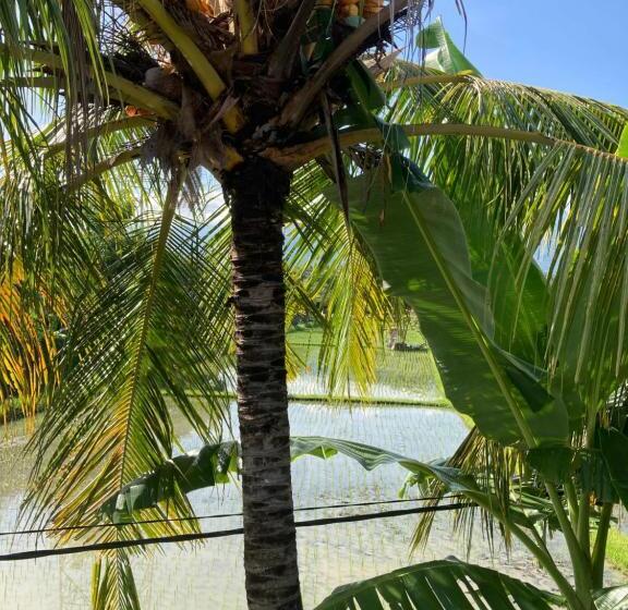 酒店 Villa Agung Beach Inn