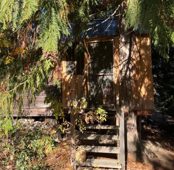 膳宿费 Cutest Little Cabin In The Woods