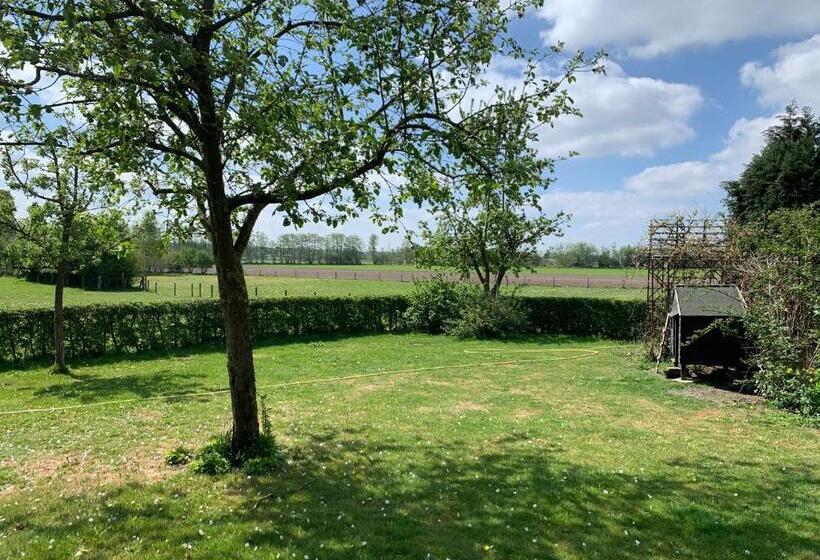 צימר Hoeve Zandbelt