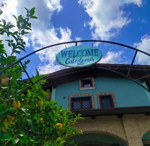Caledonia B&b