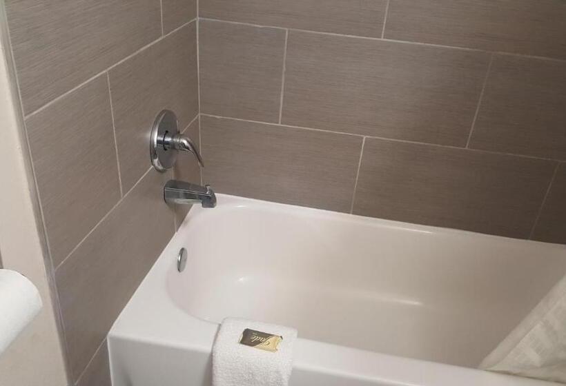 فندق Regency Inn & Suites