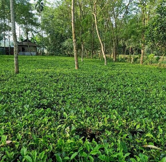 בית מלון כפרי Viswamurti Resorts