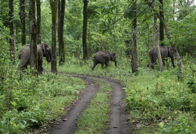 בית מלון כפרי Viswamurti Resorts