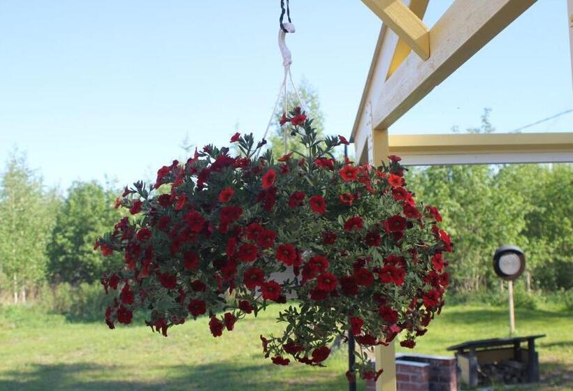 Jääskän Loma, Kojolapark Luiska Hostelli