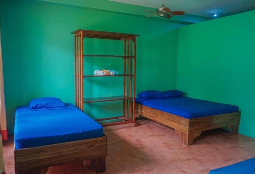 بنسيون Hospedaje El Bosquecito