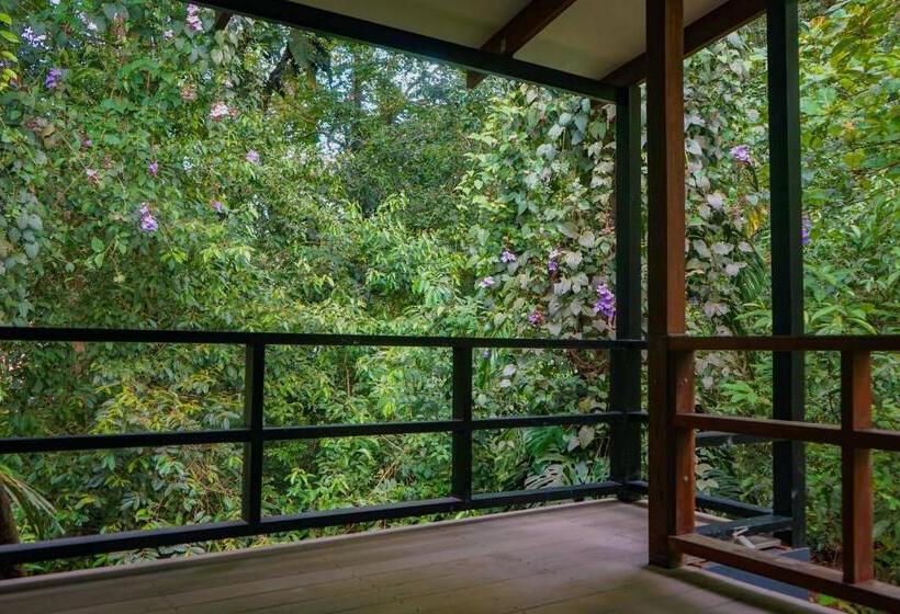 بنسيون Hospedaje El Bosquecito