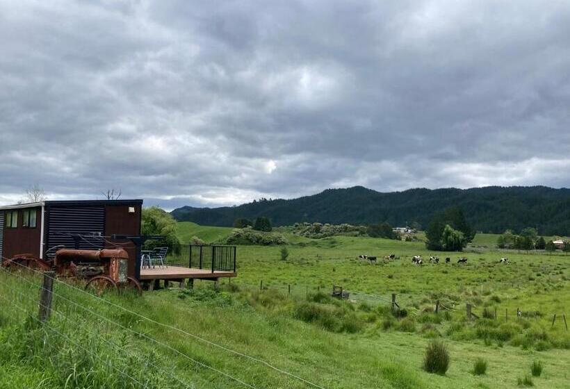 بنسيون White Pine Bush Cabins