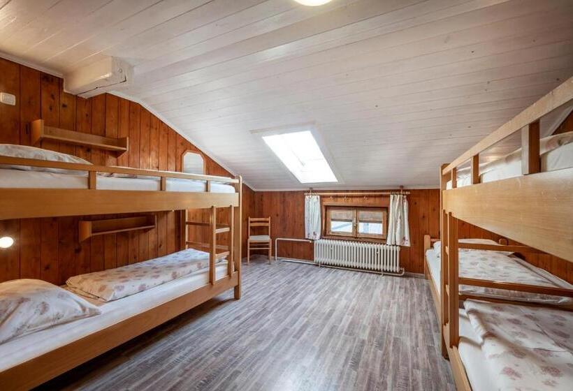 Общежитие Berghütte Burgweghof Jugendgästehaus