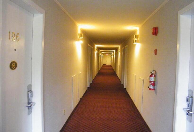 فندق صغير Rodeway Inn