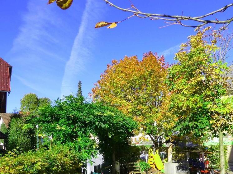 فندق صغير Taferne In Köstendorf   Ferienwohnung Monteurzimmer