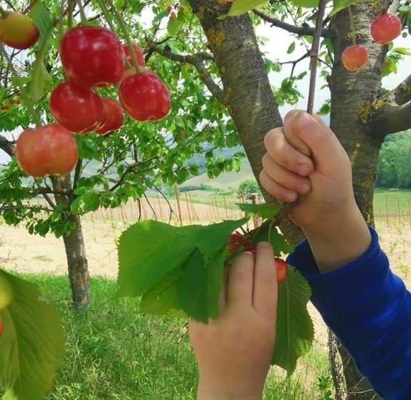 مبيت وإفطار Cascina Valtignosa Camere Con Vigna