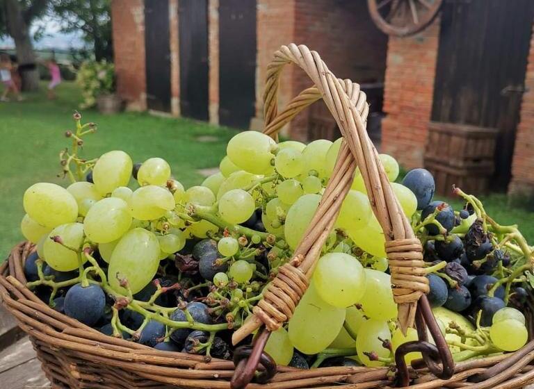 مبيت وإفطار Cascina Valtignosa Camere Con Vigna