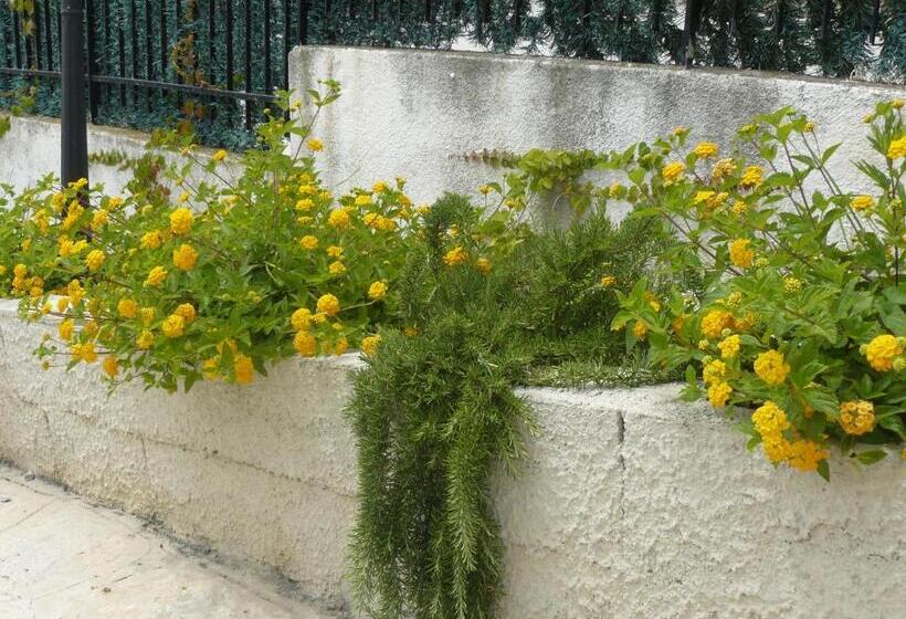 تختخواب و صبحانه Marywilliam