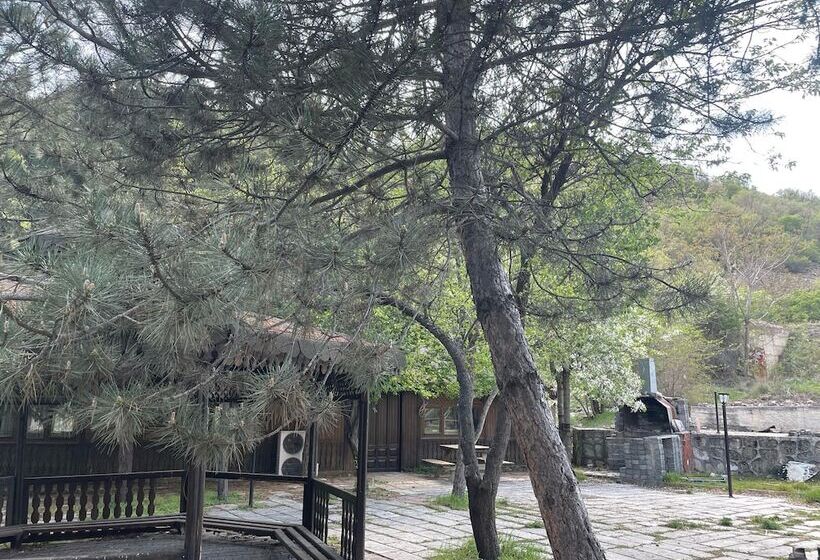 ホテル Akasya Vadisi