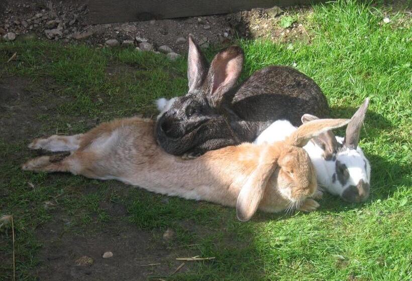 هتل Bauernhof Haim Schnepfleitner