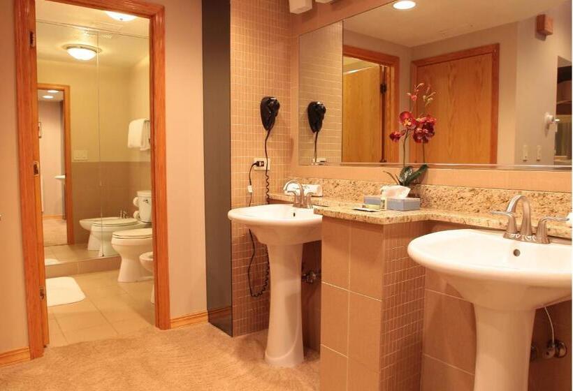 酒店 Sybaris Pool Suites Frankfort   Adults Only