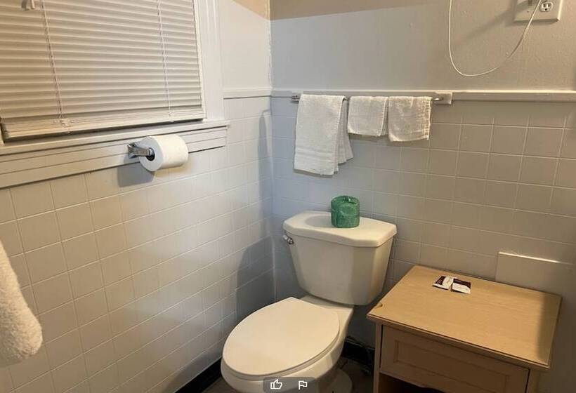 汽车旅馆  Anson Inn By Oyo