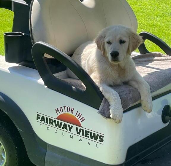 モーテル Fairway Views Motor Inn