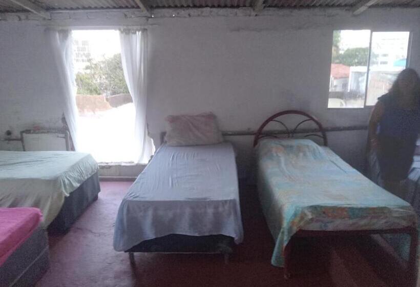 Herberge Cama 02 Num Quarto Compartilhado