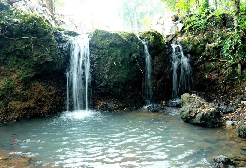 The Lyca Resorts