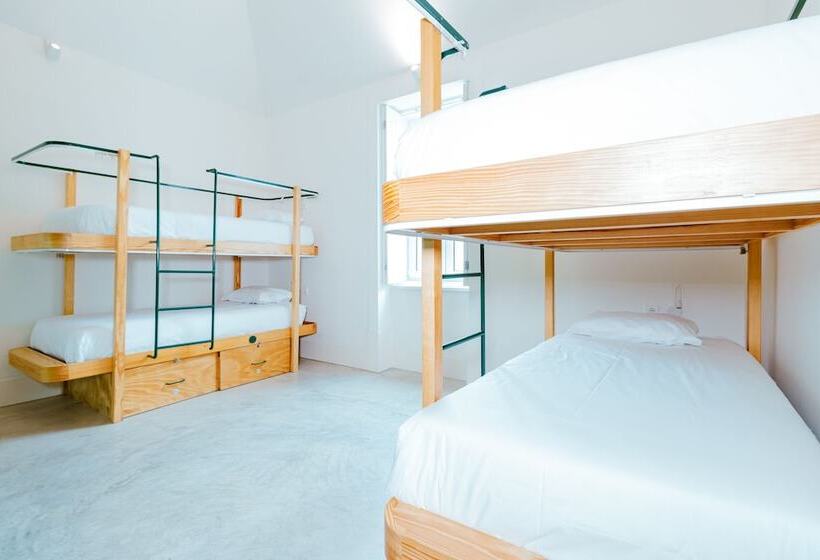 ユースホステル Surf & Sea Suites
