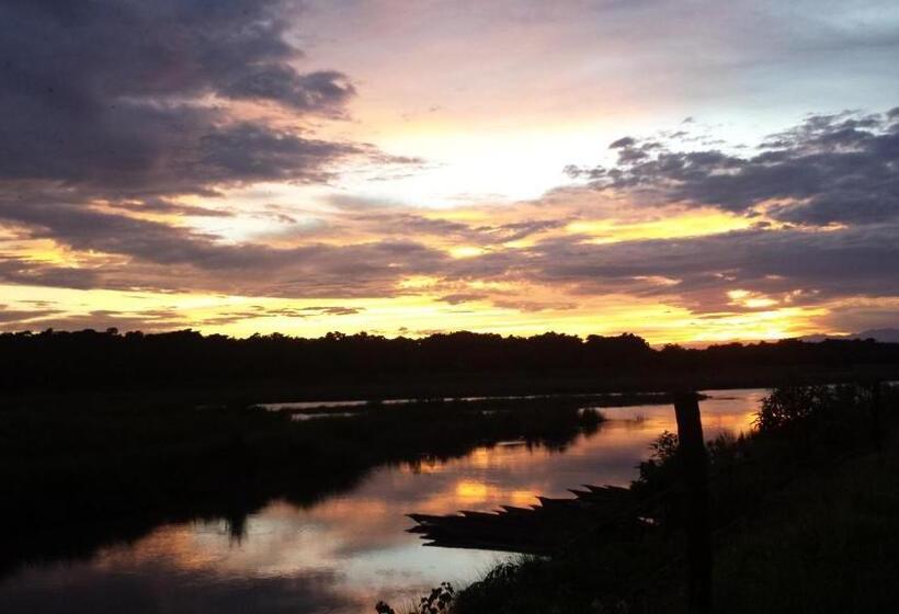펜션 Nikunj Safari Guest House Sauraha  A Place Where You Can Book Jungle Wildlife Safari