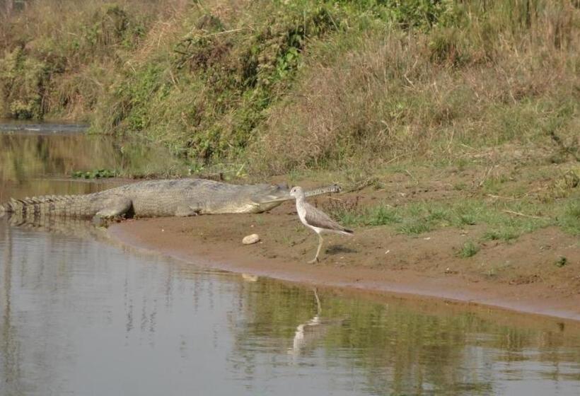 펜션 Nikunj Safari Guest House Sauraha  A Place Where You Can Book Jungle Wildlife Safari