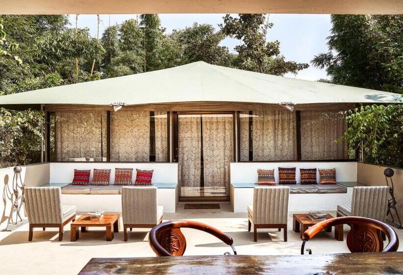 渡假胜地  Bagh Tola, Bandhavgarh Tiger Reserve