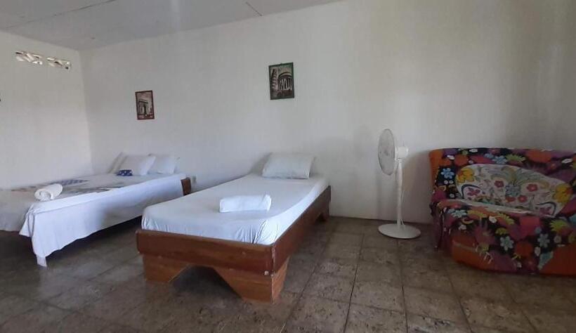 هاستل Palmera Rooms Caribe