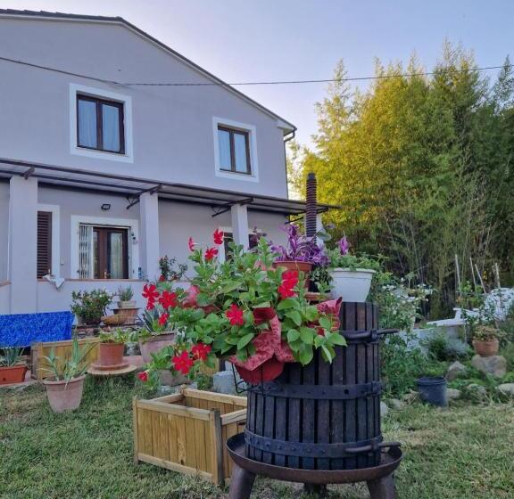 تختخواب و صبحانه Wine House