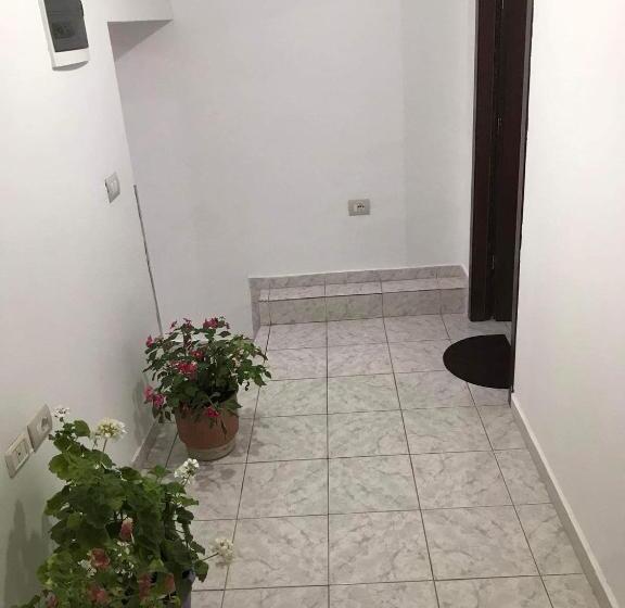 Hostel Xarba
