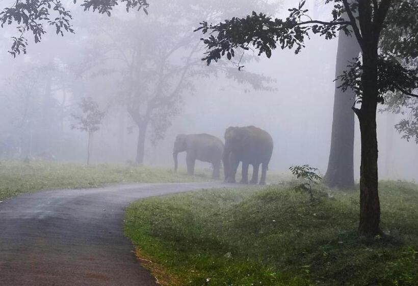 فندق Wayanad Kuruva Isles Jungle Resort