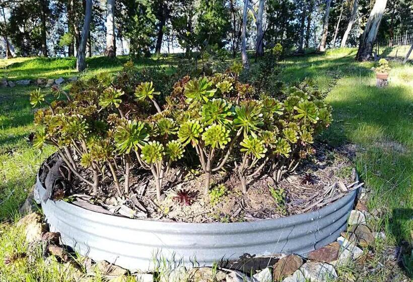 住宿加早餐  It S Bonza! At Mill About Vineyard