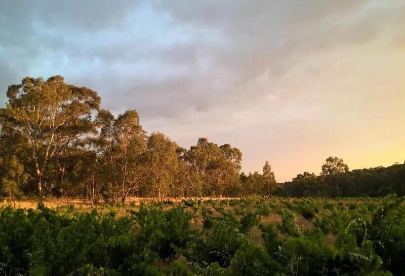 住宿加早餐  It S Bonza! At Mill About Vineyard