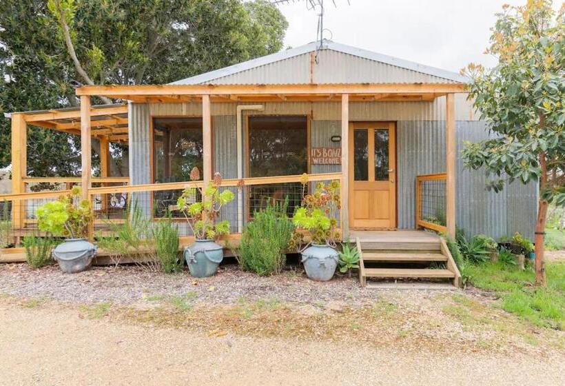 住宿加早餐  It S Bonza! At Mill About Vineyard