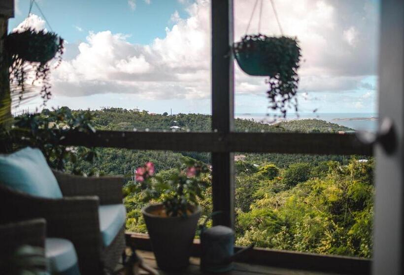 Cruz Bay Tropical Condo