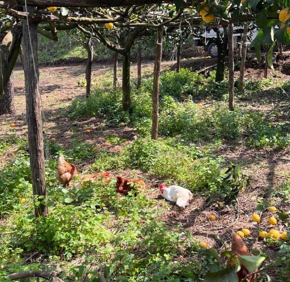 فندق Azienda Agricola Zootecnica Soriente Di Guglielmo Areh Soriente & C.s.a.s