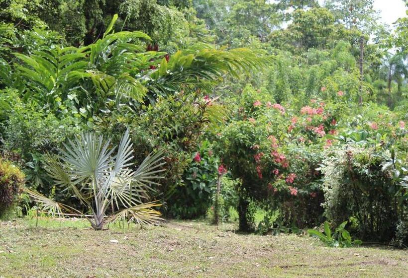 فندق Itapoa Reserve
