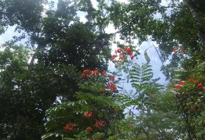 فندق Itapoa Reserve