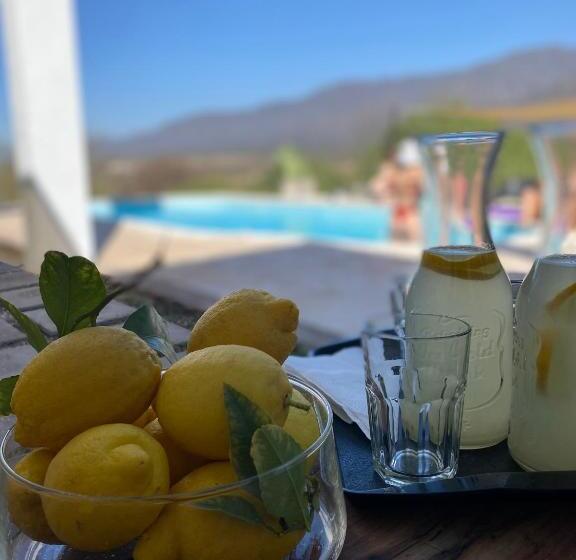 Qhawana Cabañas & Suites