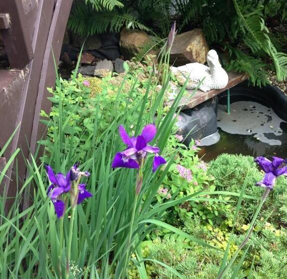 민박 Gite Les P Tits Pommiers