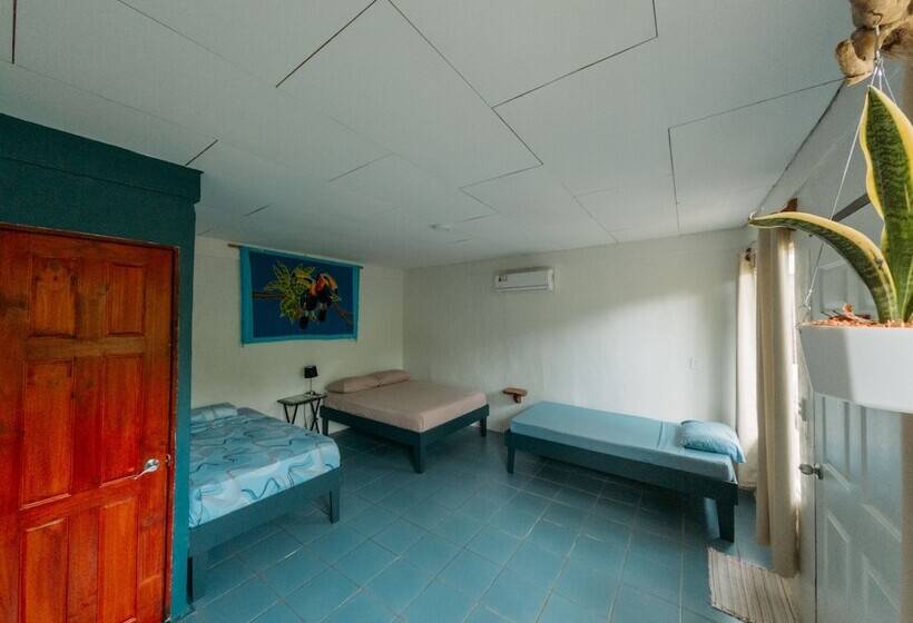 فندق Rooms & Pool Macaws