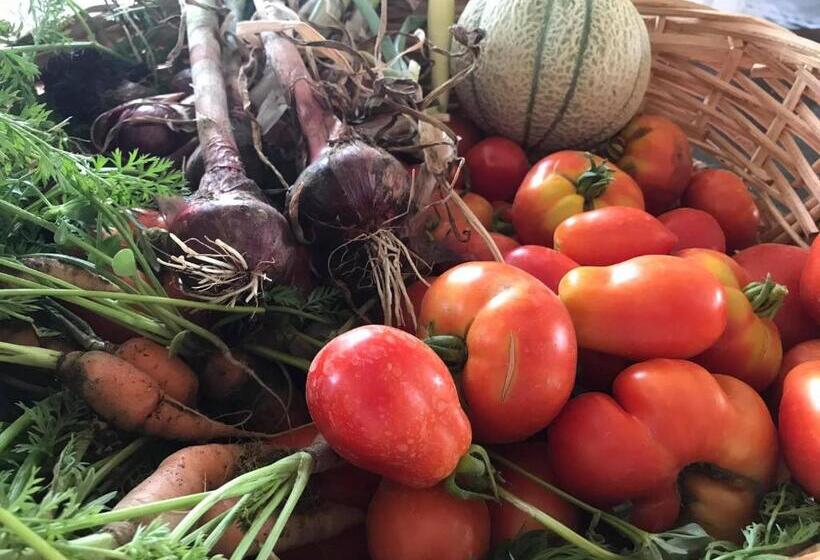 فندق Tenuta Le Mandorlaie, Agriturismo In Scansano