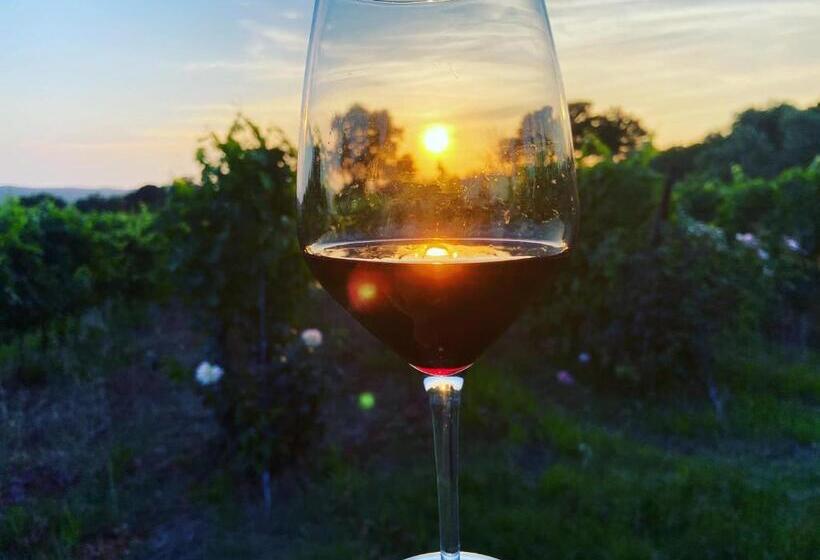 فندق Tenuta Le Mandorlaie, Agriturismo In Scansano
