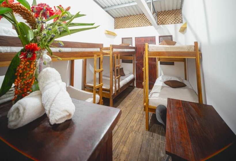 فندق Veragua Rainforest Lodge
