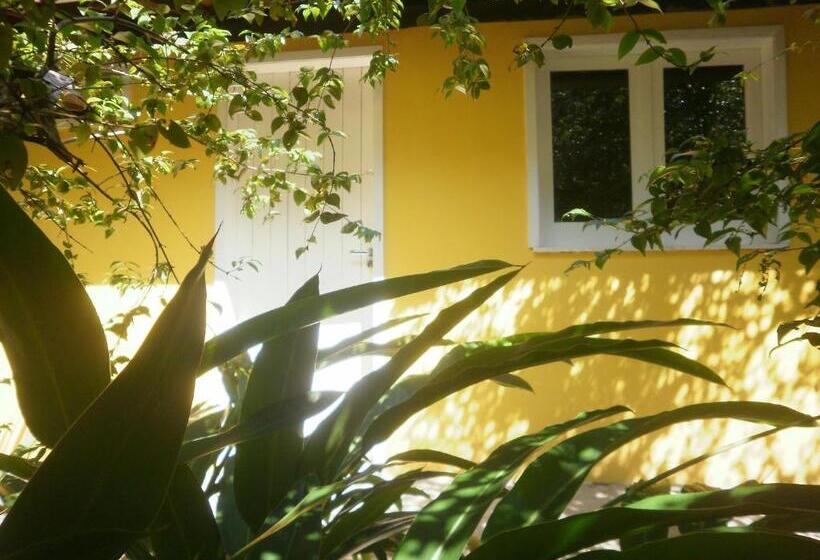 بنسيون A Casa Do Vizinho